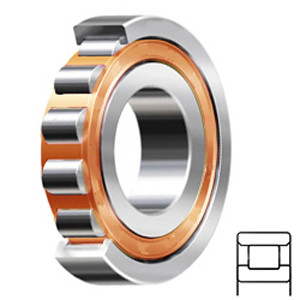 NSK N210ET Cylindrical Roller Bearings