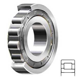 NSK NJ2308W Cylindrical Roller Bearings