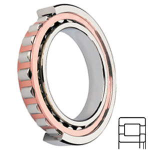 SKF NUP 219 ECP Cylindrical Roller Bearings