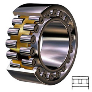 NSK NN3024MBKRE44CC1P4 Cylindrical Roller Bearings