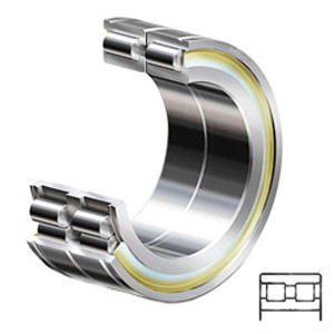 NTN SL04-5013NR Cylindrical Roller Bearings