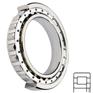 NSK NUP204W Cylindrical Roller Bearings