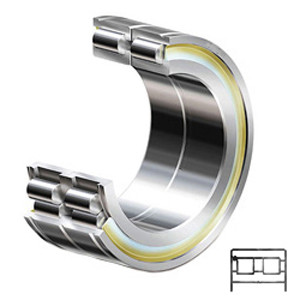 INA SL185018-C3 Cylindrical Roller Bearings