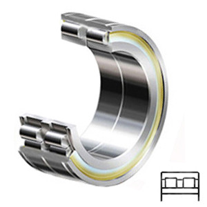 INA SL06016-E-C3 Cylindrical Roller Bearings