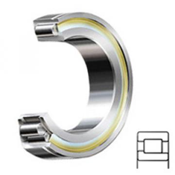 INA SL192308 Cylindrical Roller Bearings