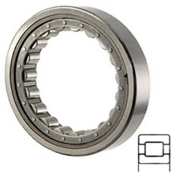 NTN M1213EAHL Cylindrical Roller Bearings