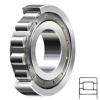 NSK NJ204W Cylindrical Roller Bearings