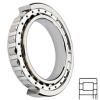 NSK NUP204W Cylindrical Roller Bearings #1 small image