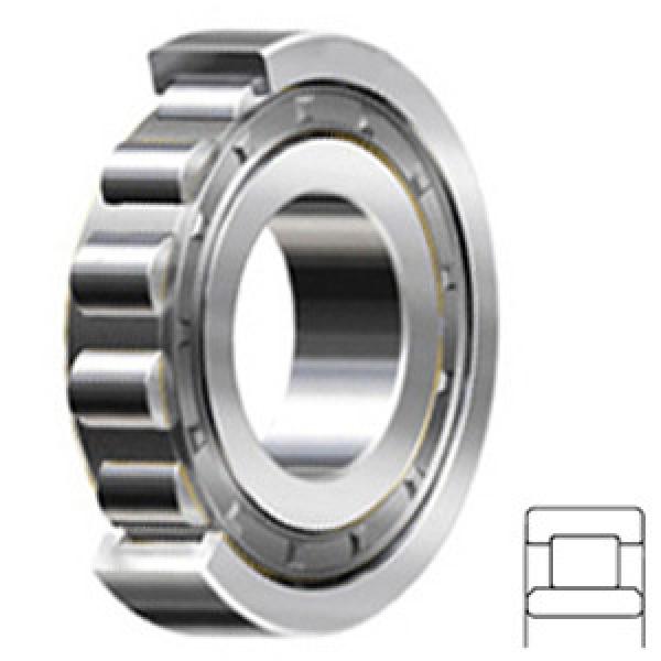 FAG BEARING NU1005 Cylindrical Roller Bearings #1 image