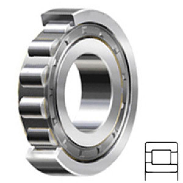 NSK NJ2215W Cylindrical Roller Bearings #1 image