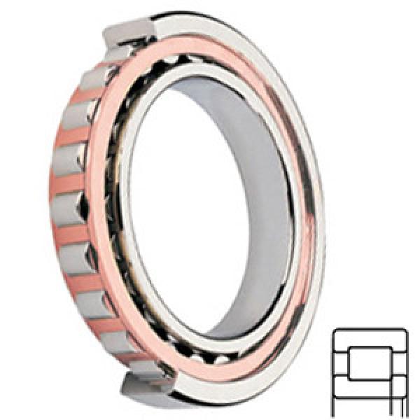 FAG BEARING NUP205-E-TVP2 Cylindrical Roller Bearings #1 image