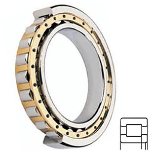 FAG BEARING NUP208-E-N-M1-C3 Cylindrical Roller Bearings #1 image