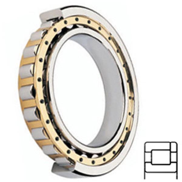 TIMKEN NP51/648M Cylindrical Roller Bearings #1 image