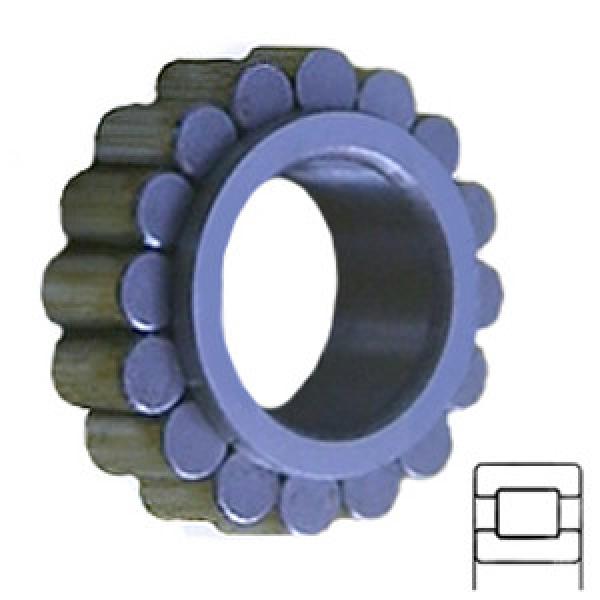 INA RSL182207 Cylindrical Roller Bearings #1 image