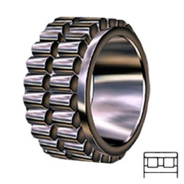 INA RSL185007 Cylindrical Roller Bearings #1 image