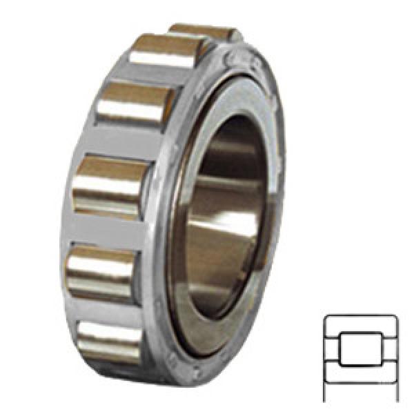 NTN MUX5207X Cylindrical Roller Bearings #1 image