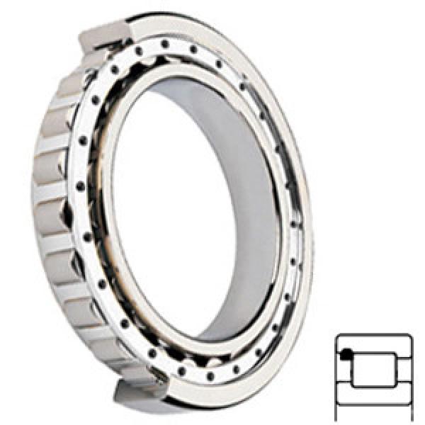 NTN MUB1205UBVMX Cylindrical Roller Bearings #1 image