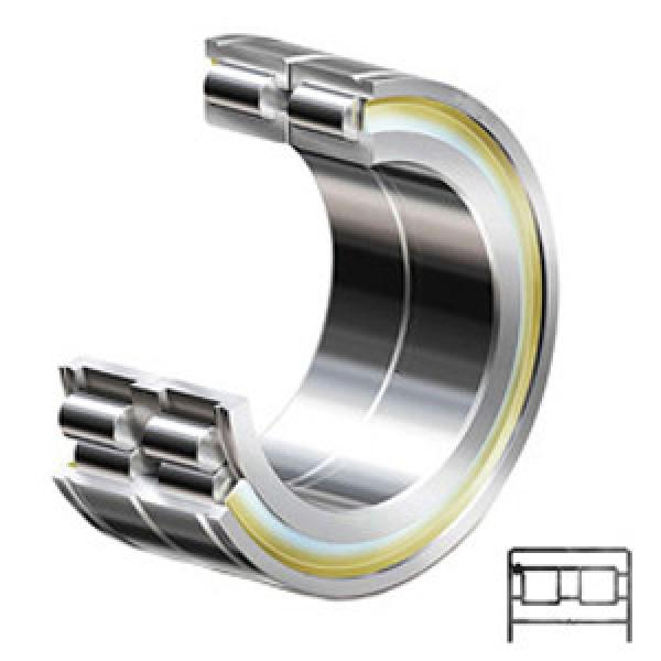 INA SL04150-PP Cylindrical Roller Bearings #1 image