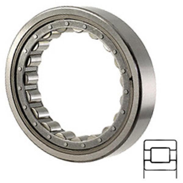 NTN M1016EAHL Cylindrical Roller Bearings #1 image