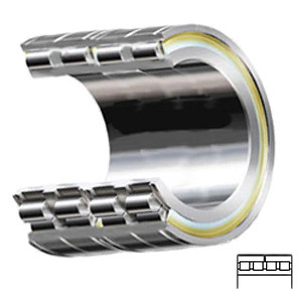 INA SL12924 Cylindrical Roller Bearings #1 image