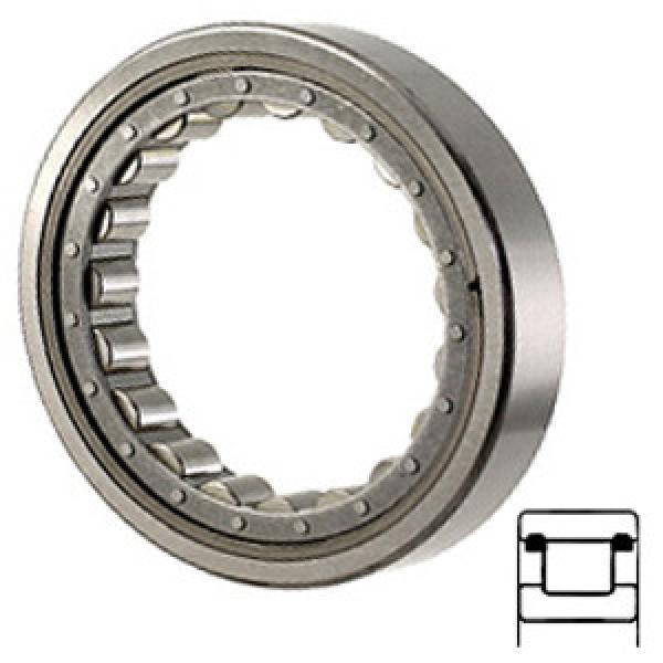 NTN M1204TV Cylindrical Roller Bearings #1 image